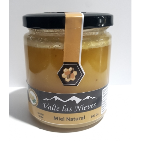 Miel Natural de Diente de Leon -500 grs.
